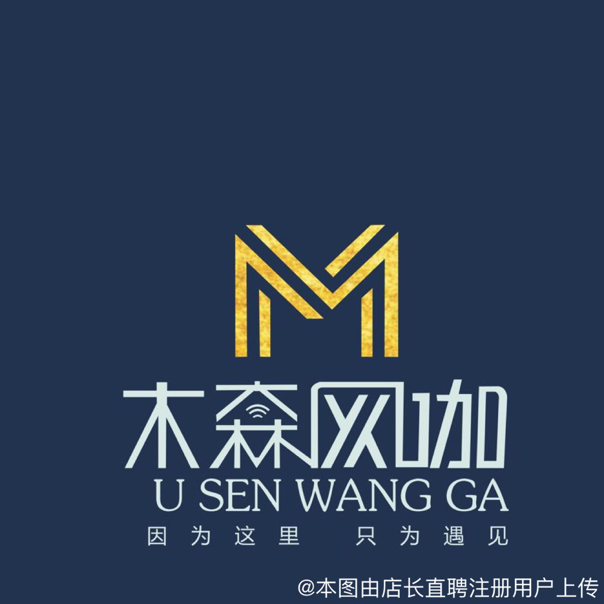 宜昌木森网络科技